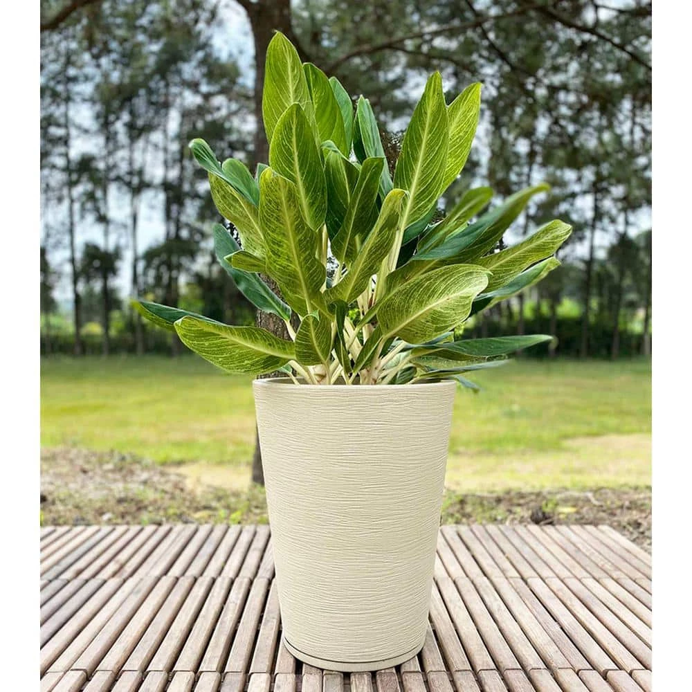 FLORIDIS Genebra Medium Beige Stone Effect Resin Planter Bowl - Image 3