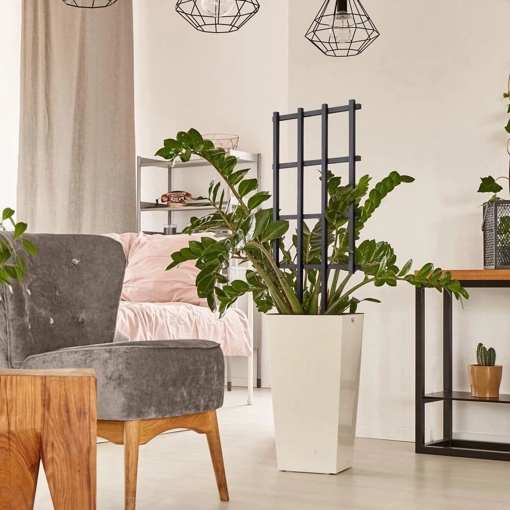 Outdoor Essentials Haven 36 in. Black Barrel Trellis (2‐Pack) - Image 4