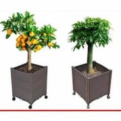 Ejoy DIY Elevated Garden Vegetable and Flower Planter Box Kit with Wheel (2 Set)