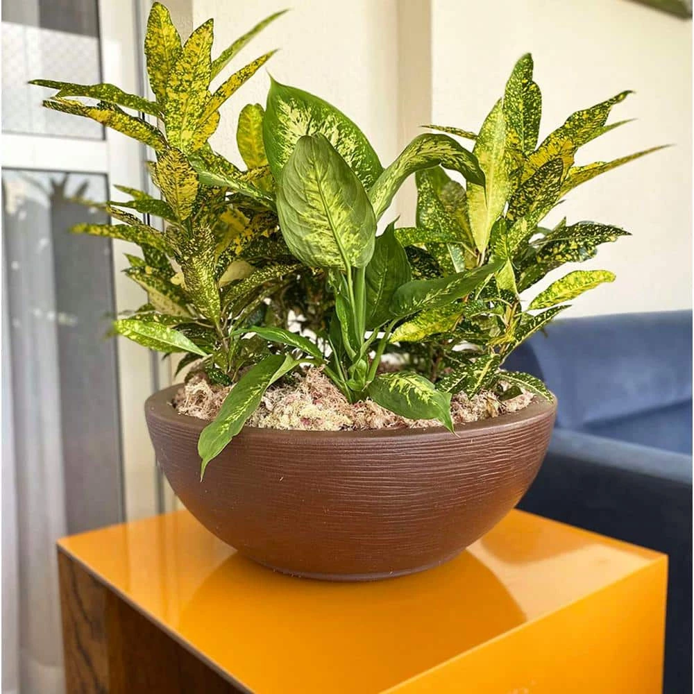 FLORIDIS Amsterdan Large Brown Stone Effect Resin Planter Bowl - Image 2