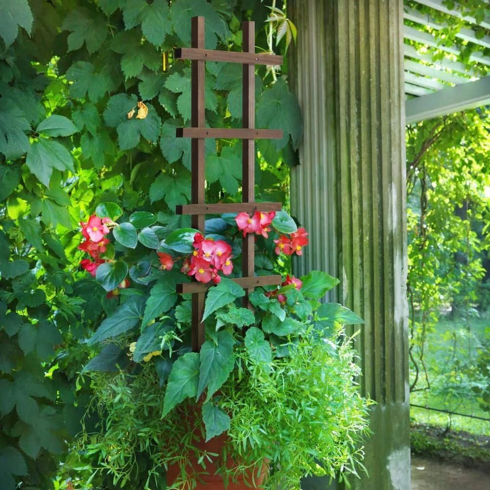 Outdoor Essentials Homestead 36 in. Walnut‐Tone Pot Trellis (2‐Pack) - Image 4