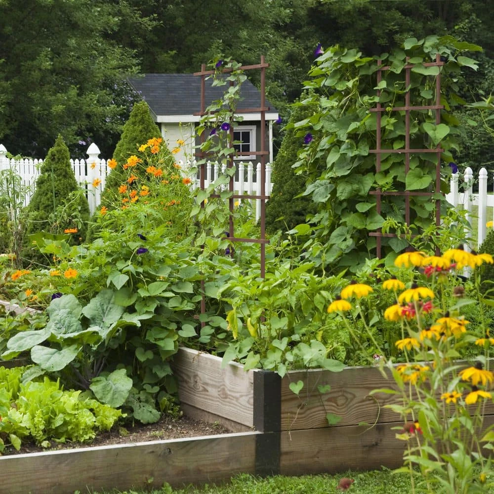 Outdoor Essentials Homestead 72 in. Walnut‐Tone Grid Ladder Trellis (2‐Pack) - Image 4