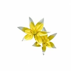 Daylily Nursery Deer Resistant Species Wildflower Tulip Mix 40-Bulbs