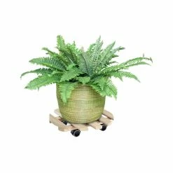 Wagner 13.75 in. Dia, 3 in. H Natural Beech Round Wooden Pallet Plant Caddy