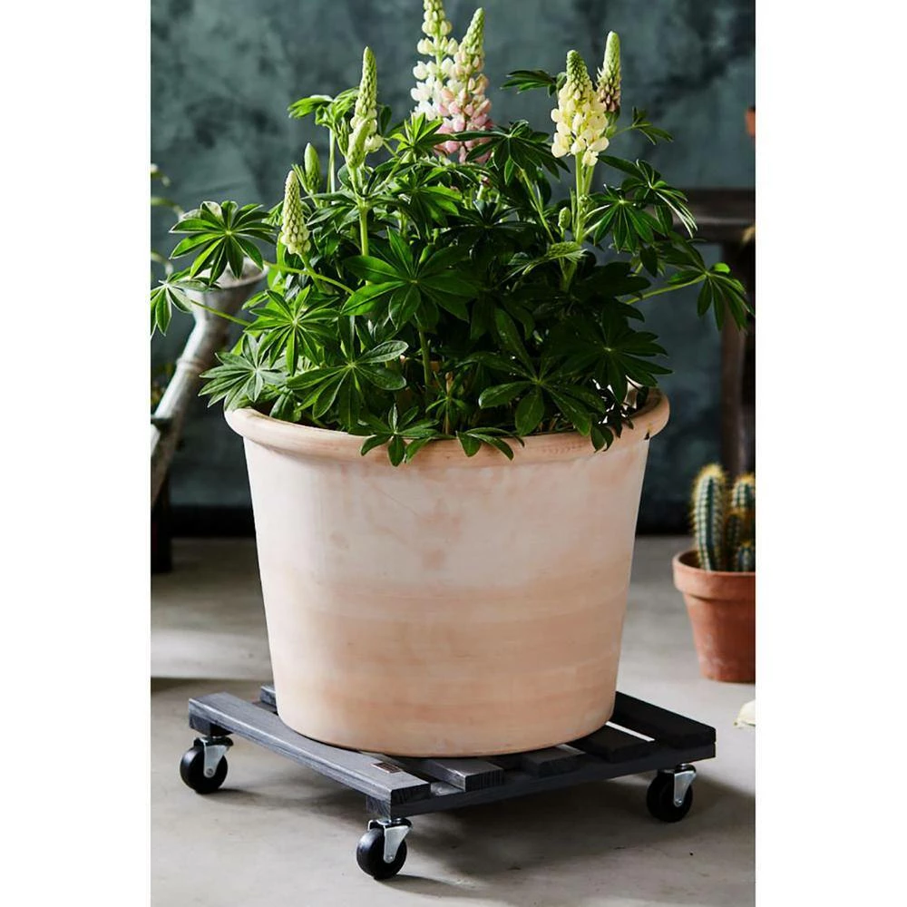 Wagner 15 in. Dia, 3.75 in. H Gray Square Pine Plant Caddy - Image 2