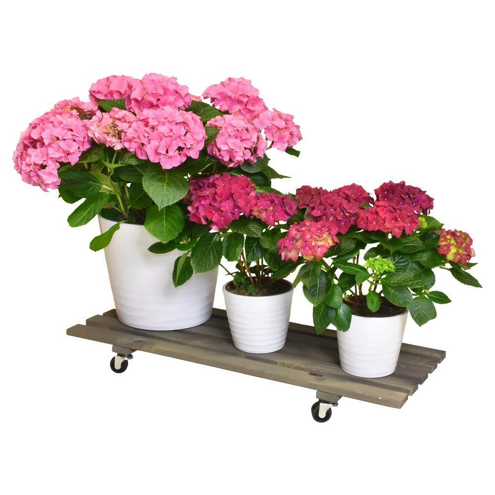 Wagner 31 in. L x 11.5 in. W x 3.4 in. H Gray Vintage Rectangular Wooden Plant Caddy - Image 2