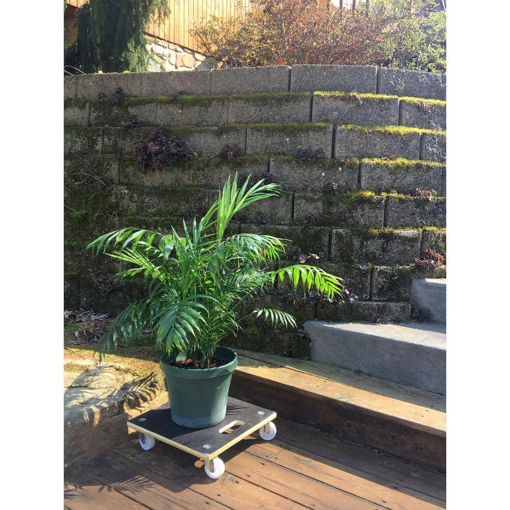 Wagner 15 in. Dia, 4 in. H Black Square MaxiGrip Wooden Plant Caddy - Image 2