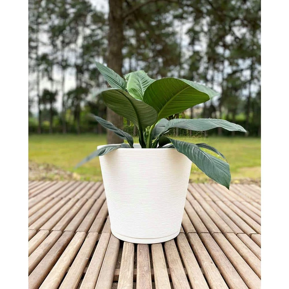 FLORIDIS Genebra Small White Resin Planter Bowl - Image 3