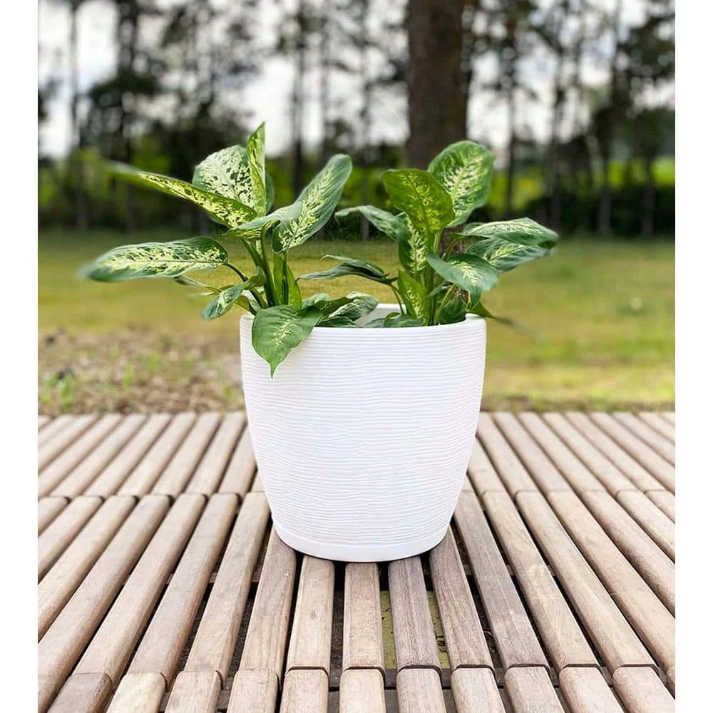 FLORIDIS Amsterdan Extra Small White Resin Planter Bowl - Image 2